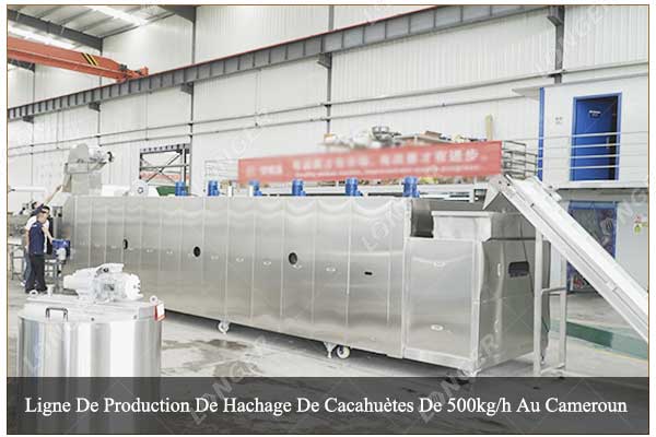 Ligne De Production De Hachage De Cacahuètes De 500kg/h Au Cameroun