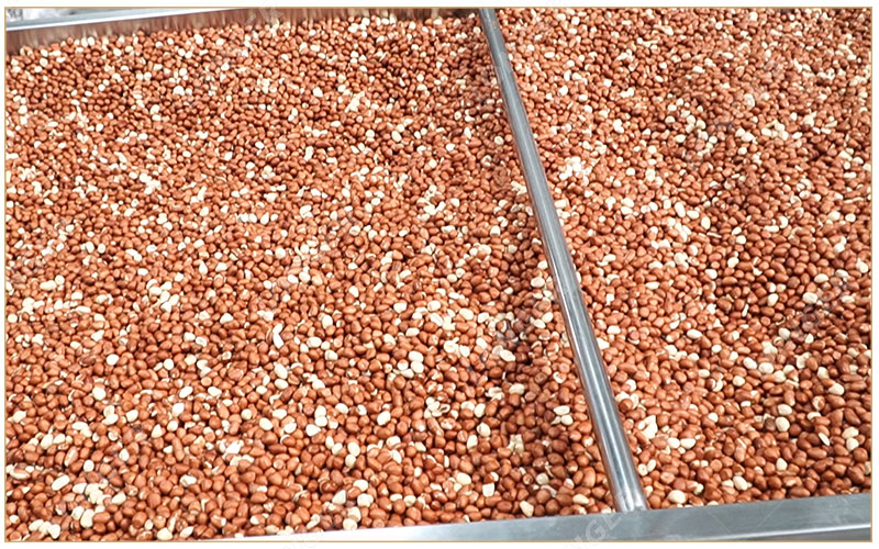 Comment Griller Les Cacahuètes Pour Le Beurre De Cacahuète À L'usine.jpg