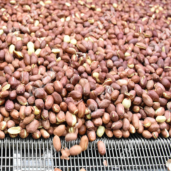 Quel Est Le Processus De Fabrication Des Cacahuètes Grillées ?