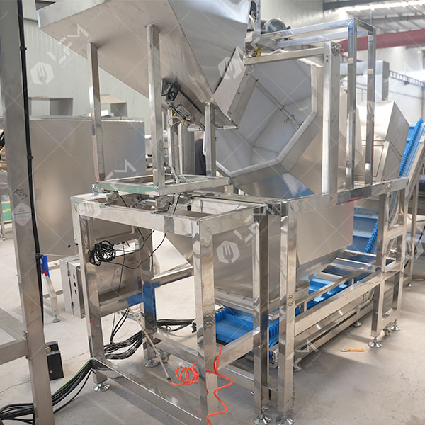 Fournisseur de machine automatique à saler les cacahuètes.jpg